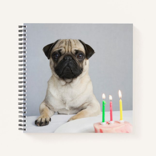 Geburtstag Mops Notizbuch (Vorderseite)