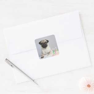 Geburtstag Mops Quadratischer Aufkleber