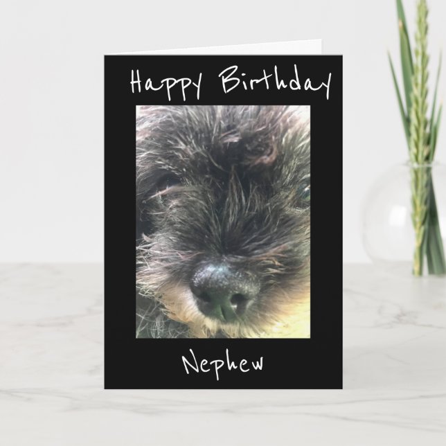 GEBURTSTAG **NEPHEW**-KARTE KARTE (Vorderseite)