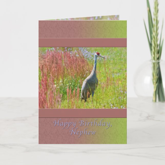 Geburtstag, Nephew, Sandhill Crane Bird Karte (Vorderseite)