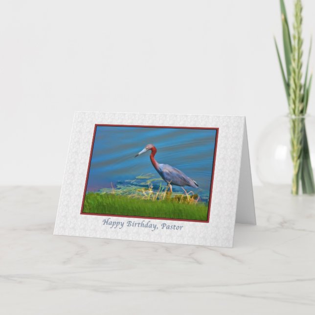 Geburtstag, Pastor, Little Blue Heron Karte (Vorderseite)