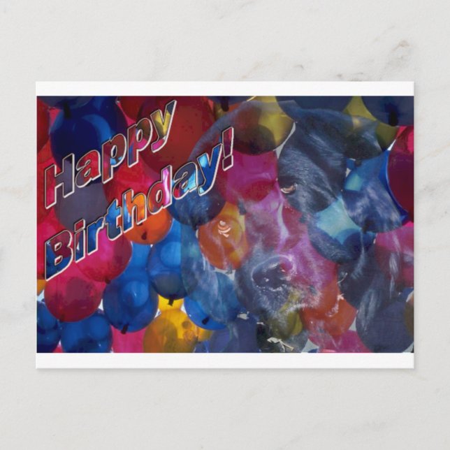 Geburtstag Postkarte (Vorderseite)