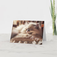 Geburtstag Ragdoll Kitten auf Kissen