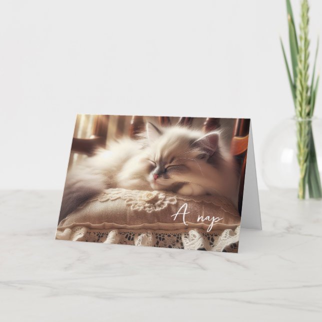 Geburtstag Ragdoll Kitten auf Kissen Karte (Vorderseite)