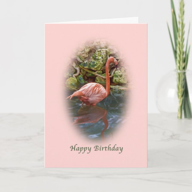 Geburtstag, rosa Flamingo-Karte Karte (Vorderseite)