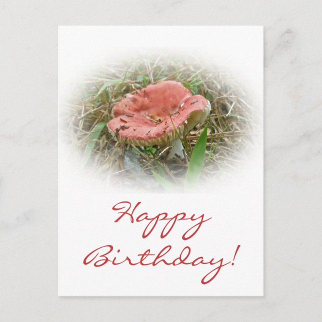 Geburtstag Rosa Pilz Postkarte (Vorderseite)