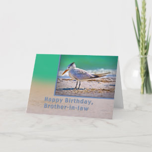 Geburtstag, Schwiegerbruder, Royal Tern Bird Karte