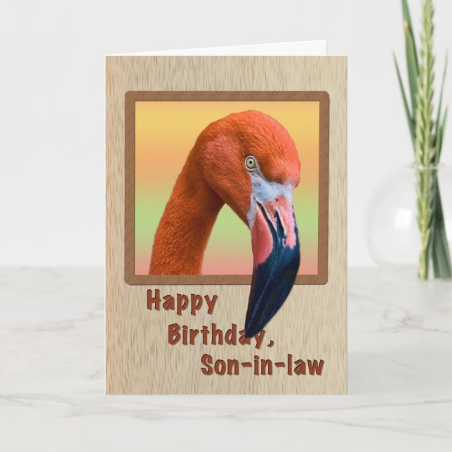 Geburtstag, Schwiegersohn, Flamingo Bird Karte (Vorderseite)