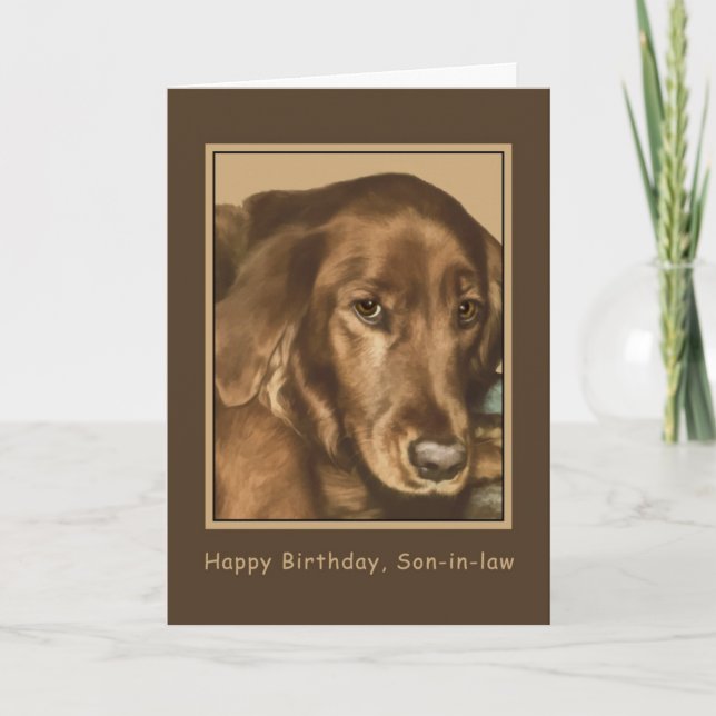 Geburtstag, Schwiegersohn, Golden Irish Dog Karte (Vorderseite)