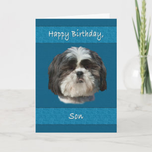 Geburtstag, Sohn, Shih Tzu Dog Karte