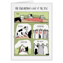 Geburtstag Wellness-Center Behandlung mit Katzen