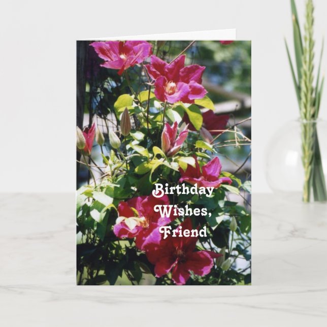 Geburtstag wünscht, Freund, hübsche Clematisblüte. Karte (Vorderseite)