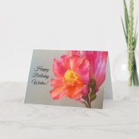Geburtstag wünscht Hübsche Blume Kunstkarte