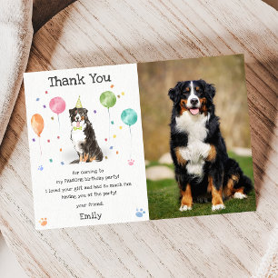 Geburtstags-Dankeskarten für Berner Sennenhund-Wel Einladung
