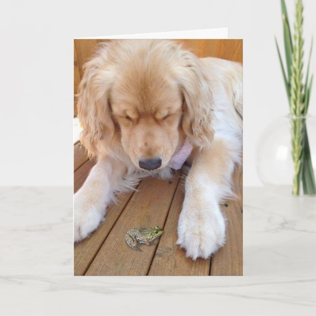 Geburtstags-golden retriever mit Frosch Karte (Vorderseite)