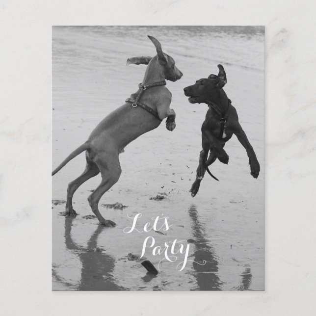 Geburtstags-Hunde Flyer (Vorne)