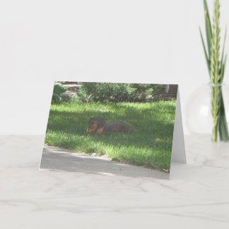 Geburtstags-Jazz-Eichhörnchen Karte