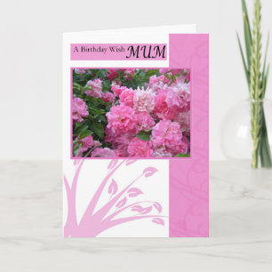 Geburtstags-Karte für Mama, Rosen des wilden Rosas Karte