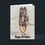 Geburtstags-Karten-Schäferhund-Hundeelsässer Karte<br><div class="desc">Alles Gute zum Geburtstagkarte,  die eine Fotografie eines Schäferhund-Hundeelsässers glücklich trottet entlang einen sandigen Strand kennzeichnet.</div>