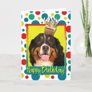Geburtstags-kleiner Kuchen - Bernese Gebirgshund Karte