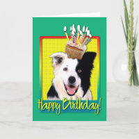 Geburtstags-kleiner Kuchen - Border-Collie