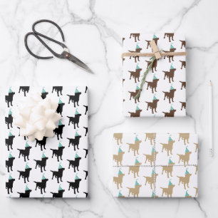 Geburtstags-Labrador-Mischfarben Hund in Party-Hut Geschenkpapier Set