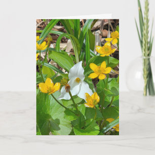 Geburtstags-Sumpfdotterblumen und Trillium Karte