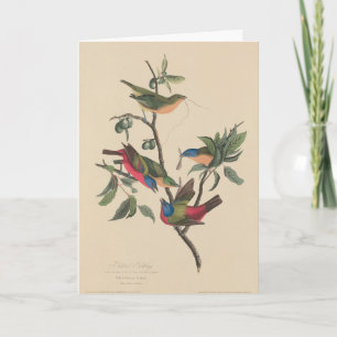 Geburtstagseinladung Havell Audubon Painted Bunti Karte
