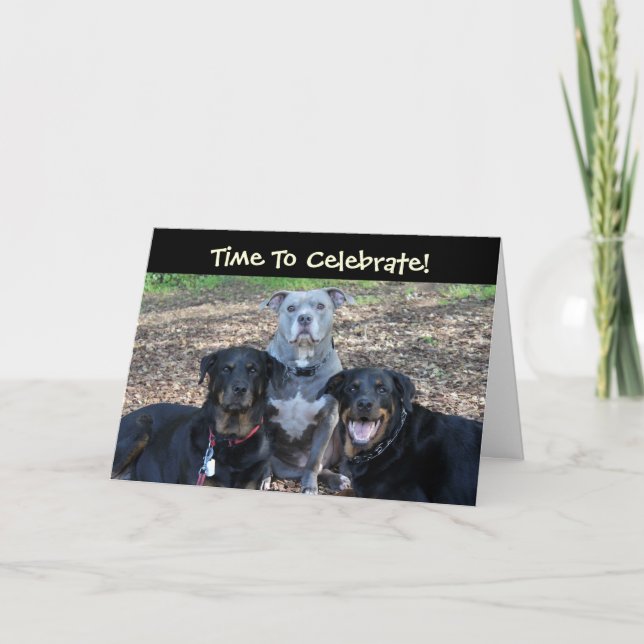 Geburtstagsfeiertage Tiere Geburtstagskarte Karte (Vorderseite)