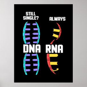 Geburtstagsgeschenk   Biologin DNA und RNA Poster