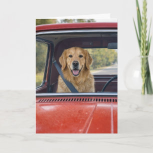 Geburtstagshumor Golden Retriever mit Sicherheitsg Karte
