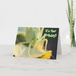 Geburtstagskarte—"Bug You" Funny Birthday Card Karte