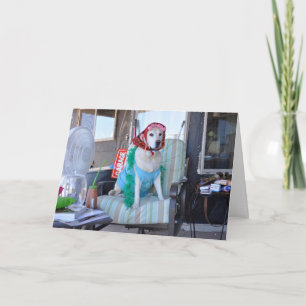 Geburtstagskarte, Foto des Hundes in den Karte