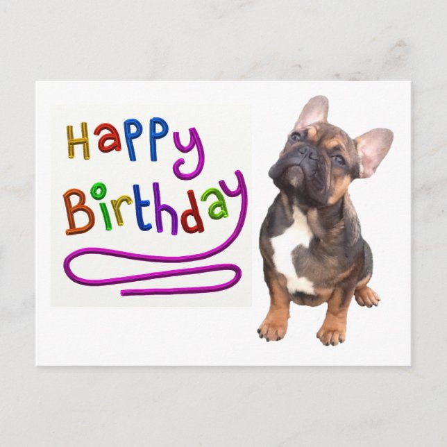 Geburtstagskarte französische Bulldogge Postkarte (Vorderseite)