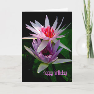 Geburtstagskarte für Schwester, Water Lilies Karte