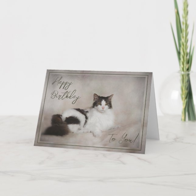 Geburtstagskarte "Happy Birthday Cat" Feiertagskarte (Vorderseite)