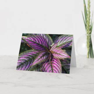 Geburtstagskarte Karte