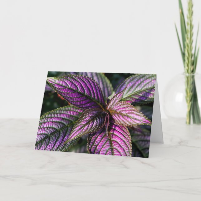 Geburtstagskarte Karte (Vorderseite)