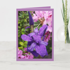 Geburtstagskarte Karte