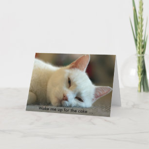 Geburtstagskarte mit Katze: Weck mich für den Kuch Karte