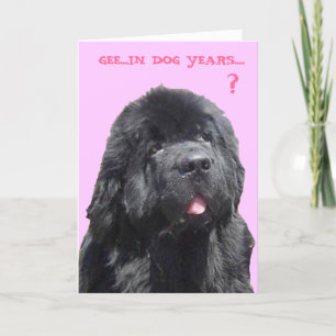 Geburtstagskarte mit Newfy Karte