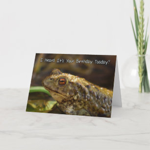 Geburtstagskarte mit Wild Toad Play auf Worten, he Karte