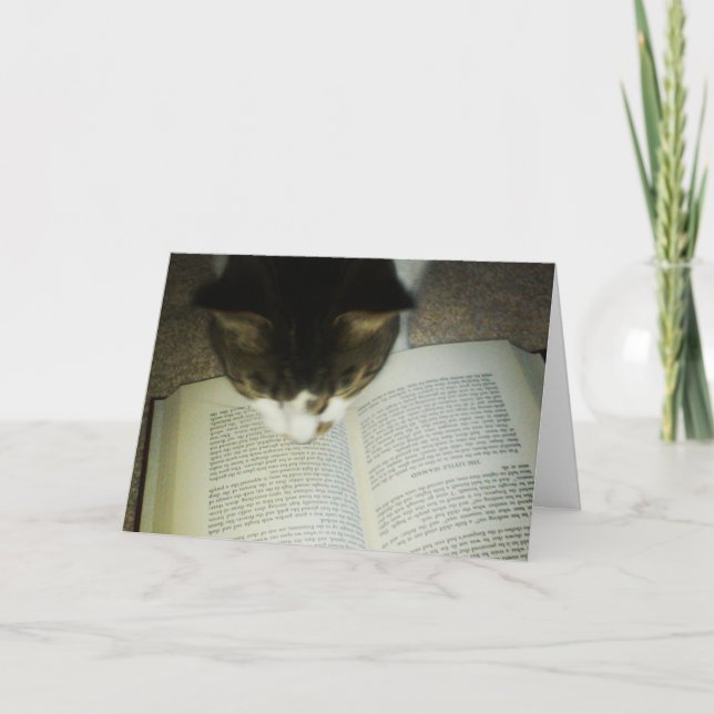 Geburtstagskarte "Snugafur Likes to Read" Karte (Vorderseite)