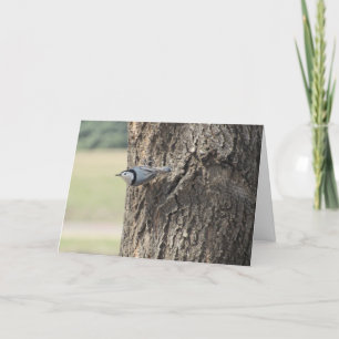 Geburtstagskarte "Weißgebratener Nuthatch" Karte