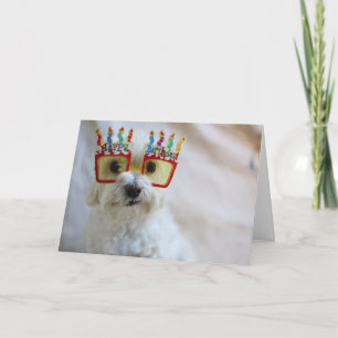 Geburtstagskarte - Witziger Hund mit Brille Karte