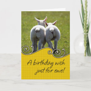 Geburtstagskarte - Zwei Baby Lambs Karte
