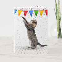 Geburtstagskatze Gray Tabby Cat in Confetti