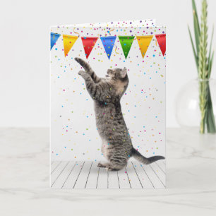 Geburtstagskatze Gray Tabby Cat in Confetti Karte