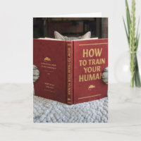 Geburtstagskatze liest ein Buch über das Training