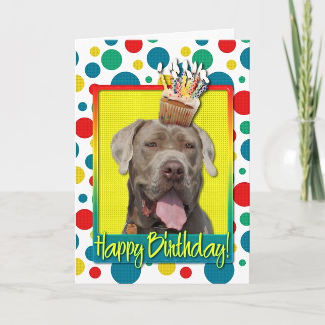 Geburtstagskuchen - Mastiff - Snoop Karte (Vorderseite)